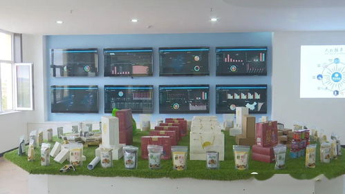 锡林郭勒盟千里草原风景大道阿巴嘎驿站暨电子商务公共服务中心启用 融合旅游与电商新篇章