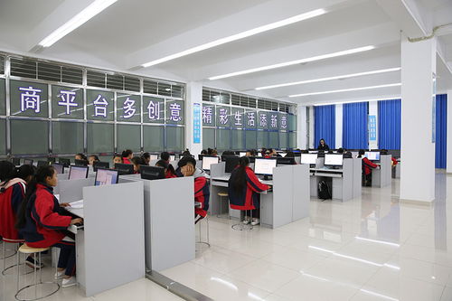 电子商务服务 驱动现代商业的核心引擎
